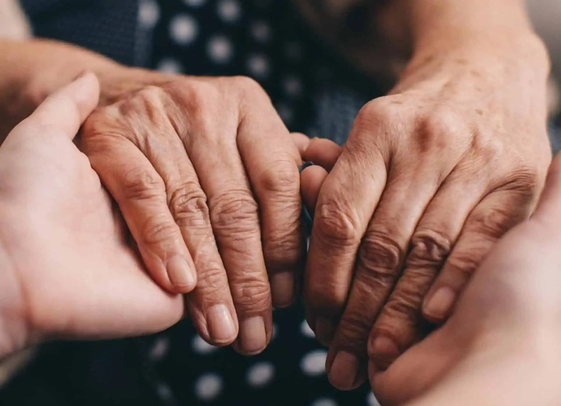 Close-up of elderly and young hands gently holding each other.