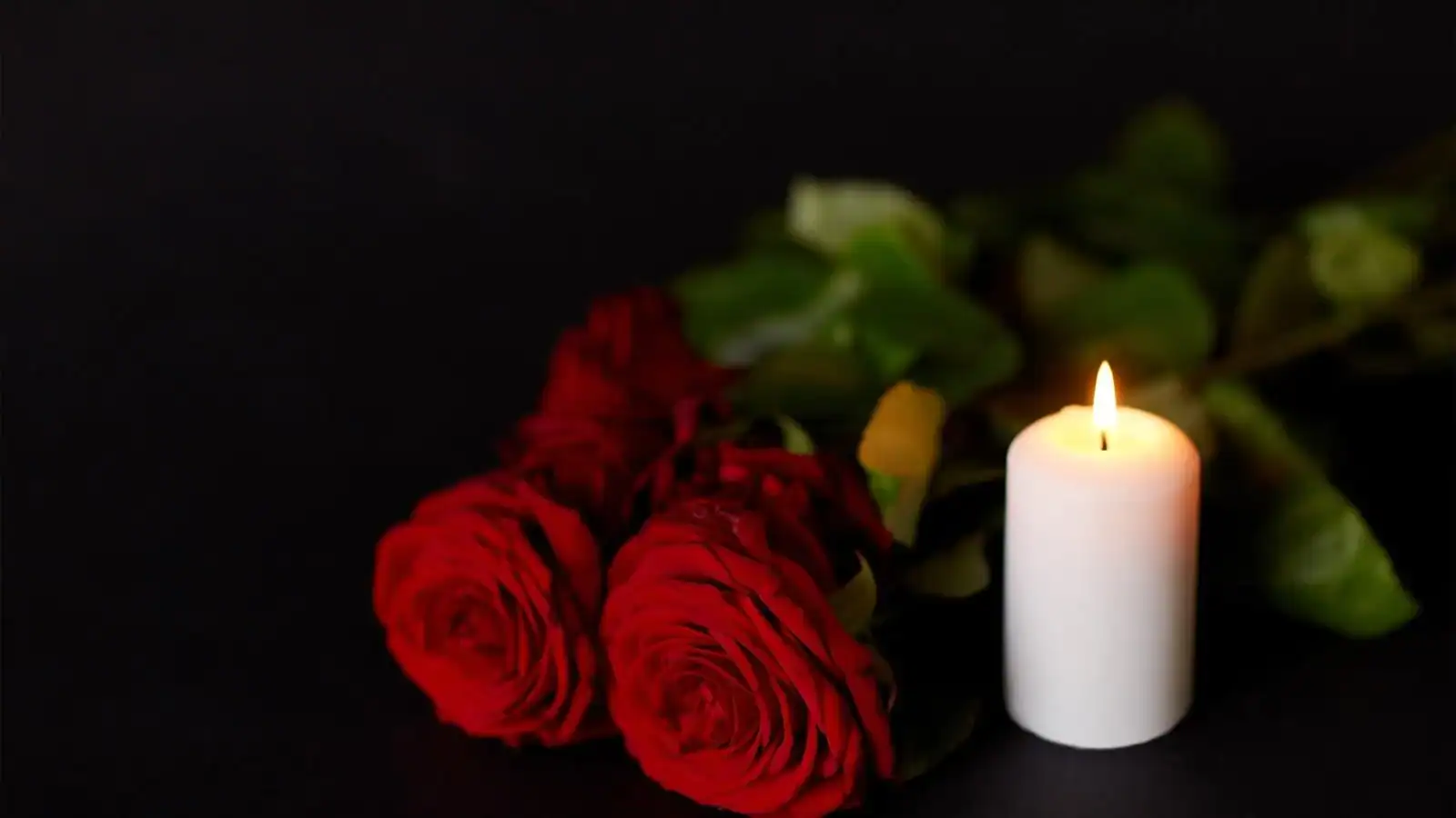 Red roses and a white candle on a dark background.