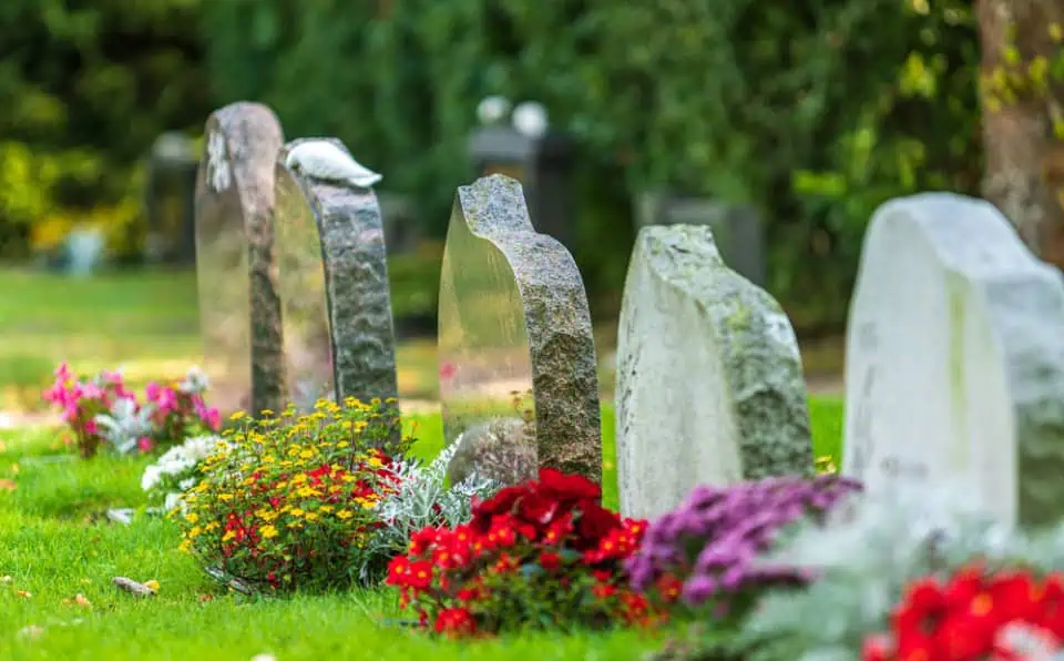 Multiple gravestones of varying shapes and sizes in a peaceful cemetery setting.
