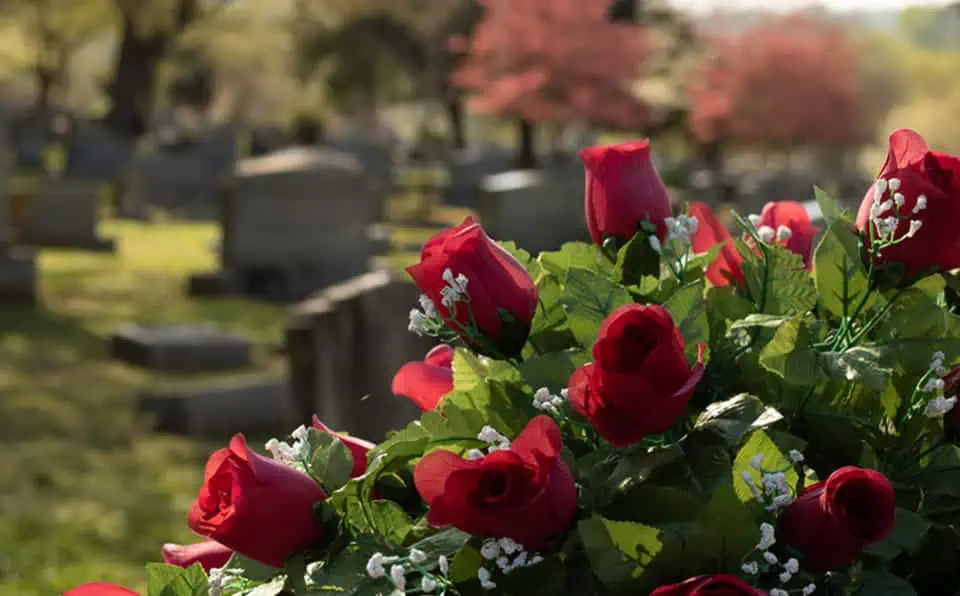 Red roses and greenery at a cemetery graveside service.