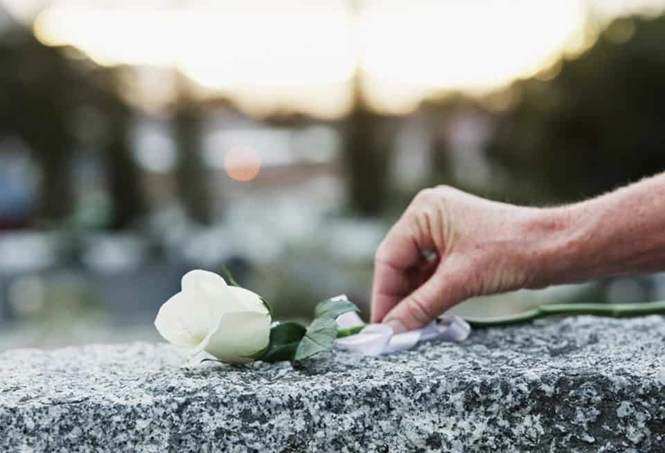Hand placing a white rose on a stone memorial at sunset.