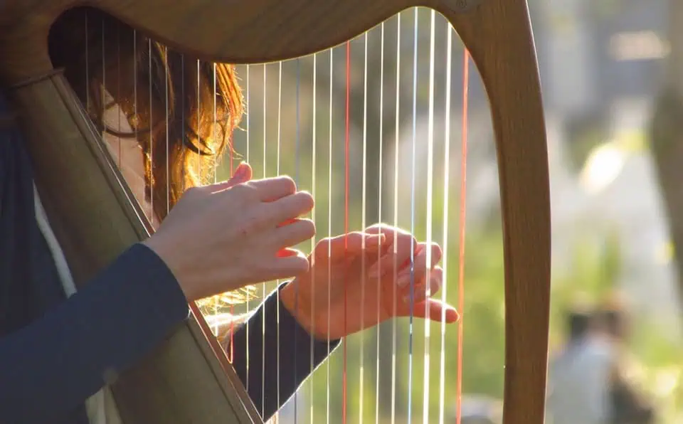Person playing harp outdoors, visible hands and harp strings, garden background.