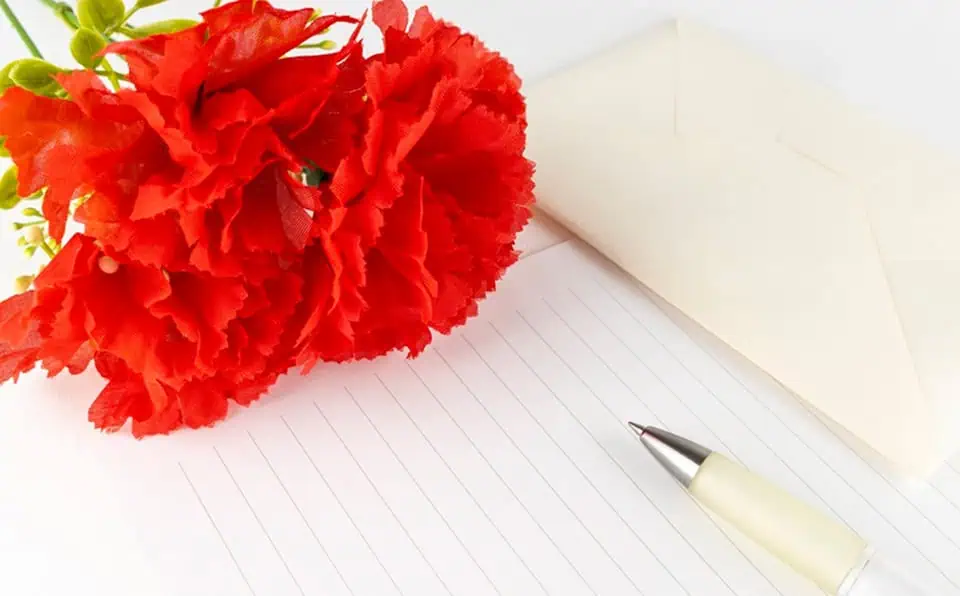 Red carnations, a pen, and an envelope on paper.