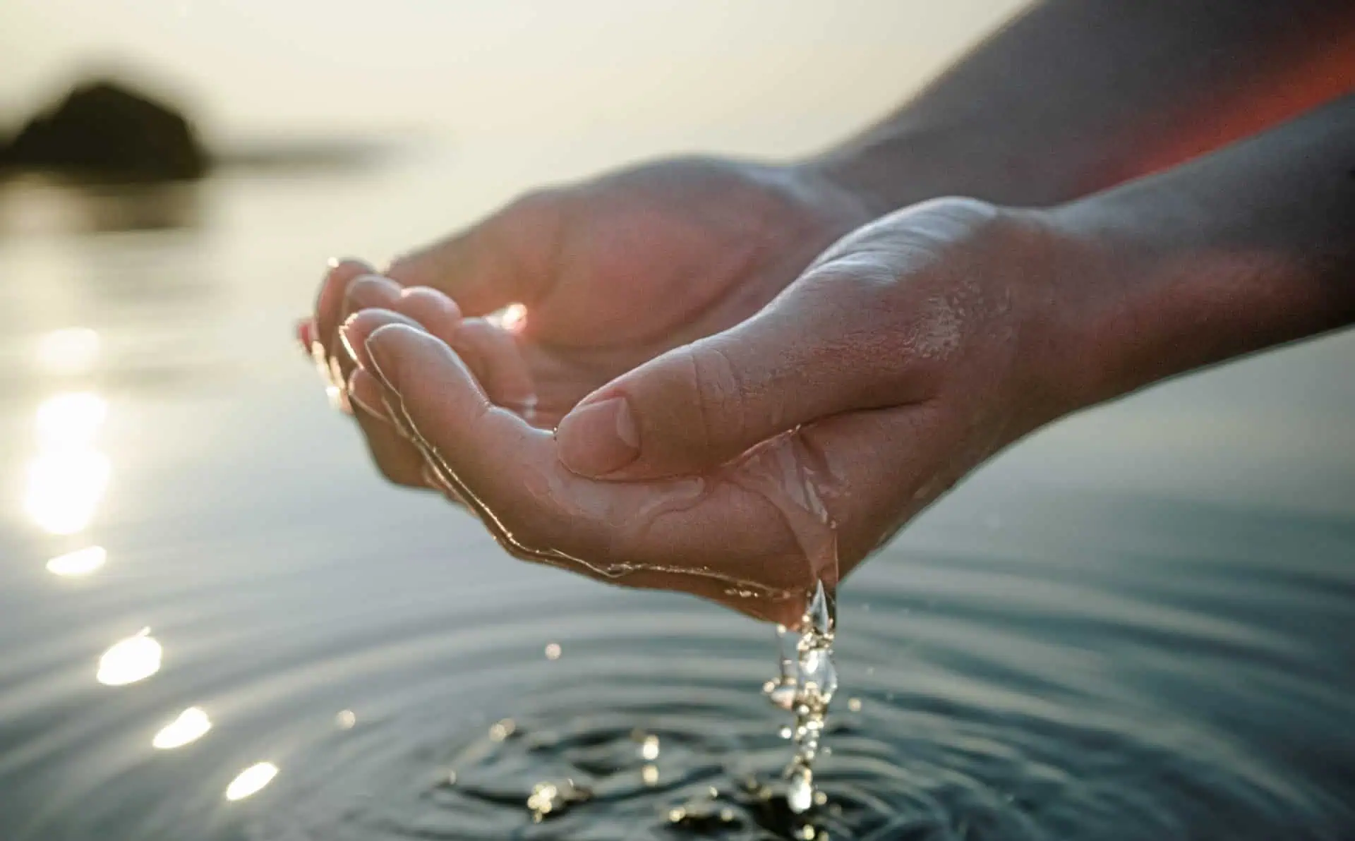 Close-up of hands holding water during aquamation process at a memorial site.